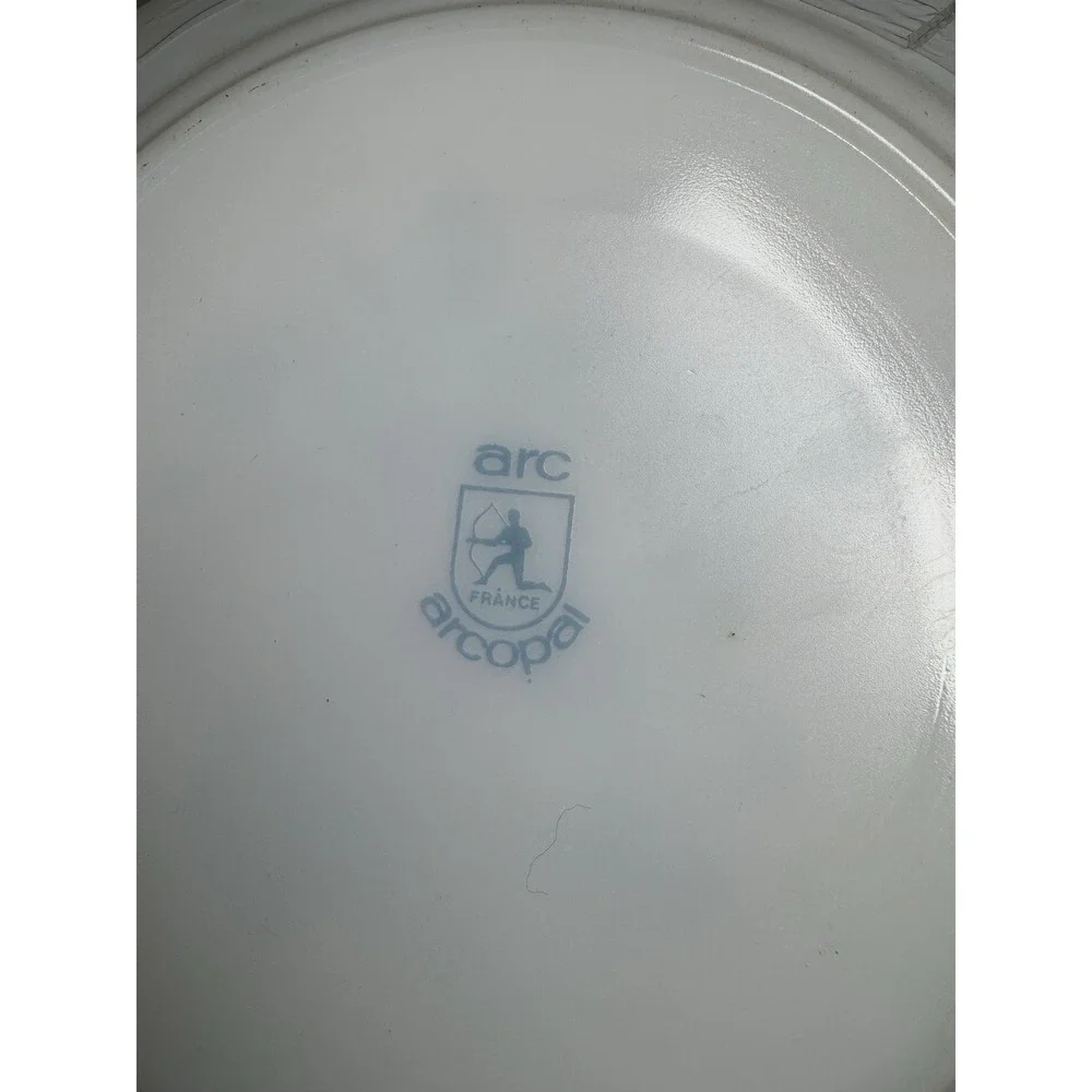 NOS‎ 16 Piece Dinnerware Set Arcopal France 
